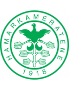 Hamarkameratene badge