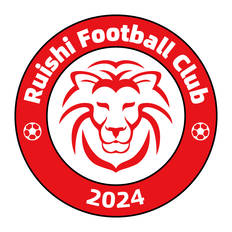 Ganzhou Ruishi badge