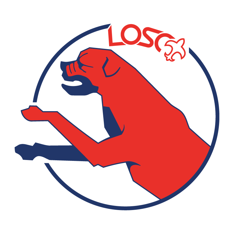 1981 badge
