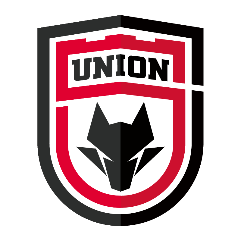 Shaanxi Union badge