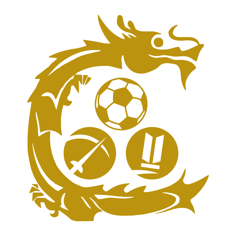 Kowloon City badge
