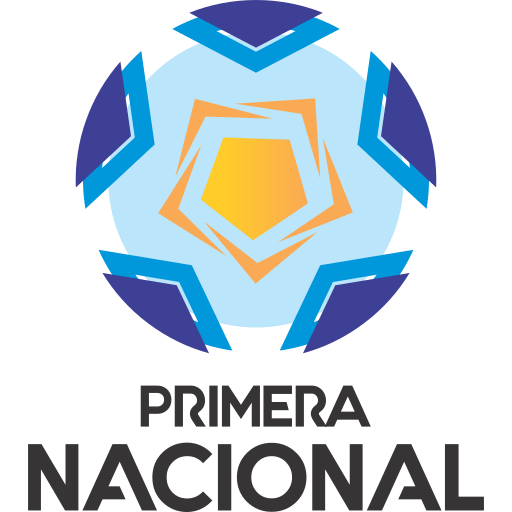 Primera Nacional badge