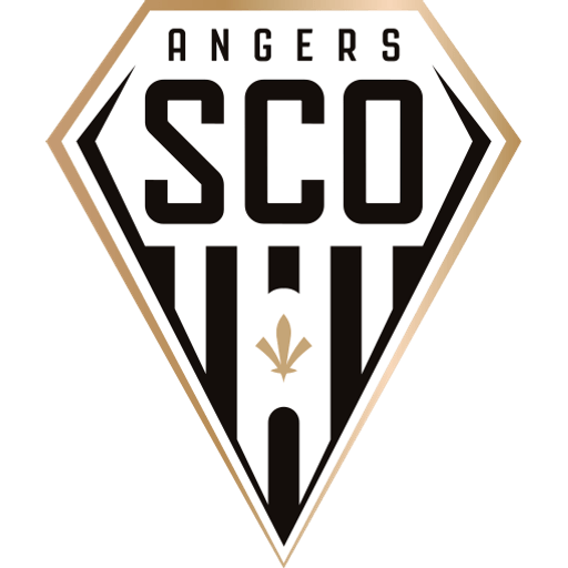 Angers badge