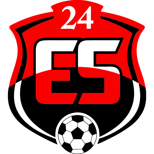 Erzincanspor badge