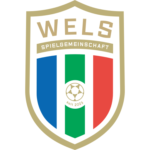 FC Hertha Wels badge